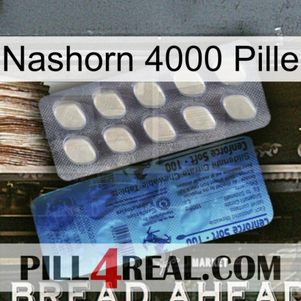 Rhino 4000 Pill 34
